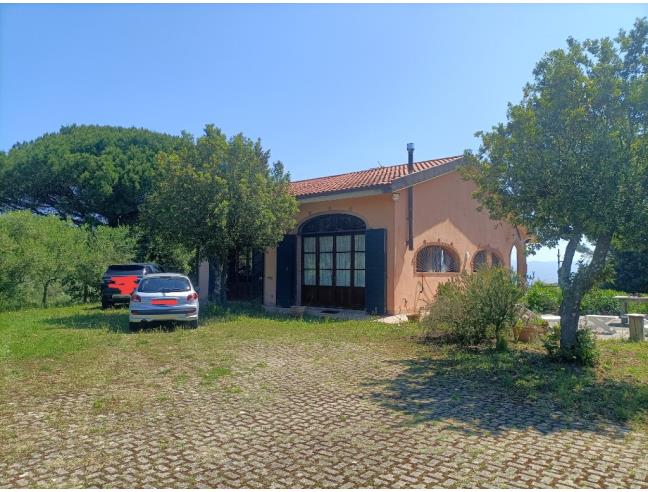 Anteprima foto 2 - Azienda Agricola in Vendita a Rosignano Marittimo (Livorno)