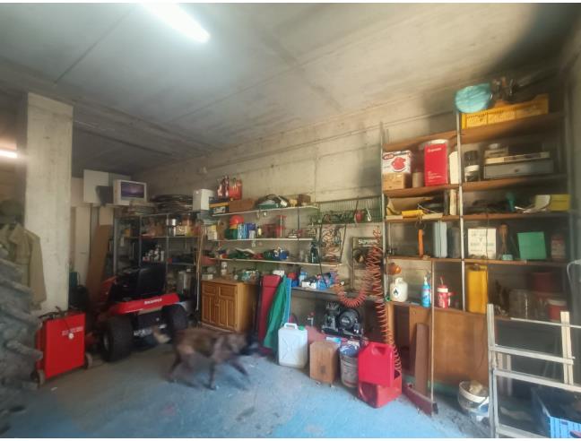 Anteprima foto 3 - Azienda Agricola in Vendita a Rosignano Marittimo (Livorno)
