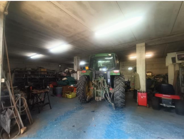 Anteprima foto 4 - Azienda Agricola in Vendita a Rosignano Marittimo (Livorno)