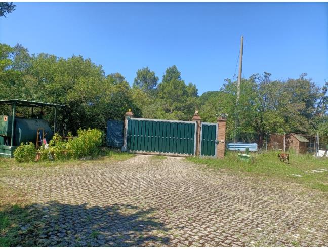 Anteprima foto 6 - Azienda Agricola in Vendita a Rosignano Marittimo (Livorno)