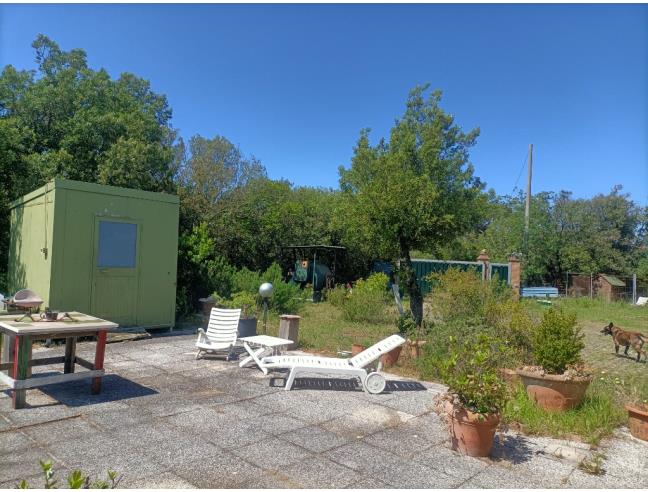 Anteprima foto 7 - Azienda Agricola in Vendita a Rosignano Marittimo (Livorno)