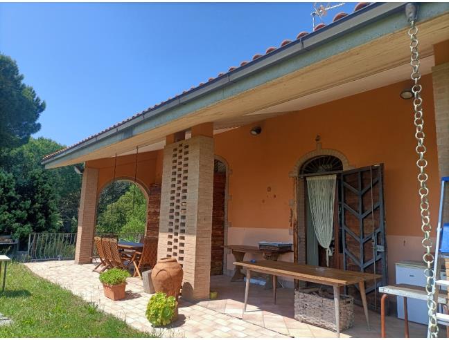Anteprima foto 8 - Azienda Agricola in Vendita a Rosignano Marittimo (Livorno)