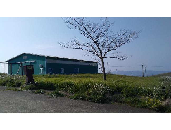 Anteprima foto 3 - Azienda Agricola in Vendita a San Martino in Pensilis (Campobasso)