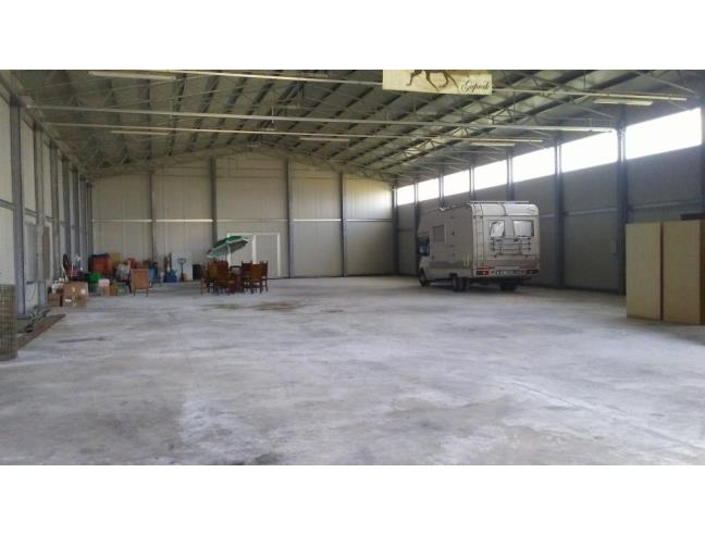 Anteprima foto 4 - Azienda Agricola in Vendita a San Martino in Pensilis (Campobasso)