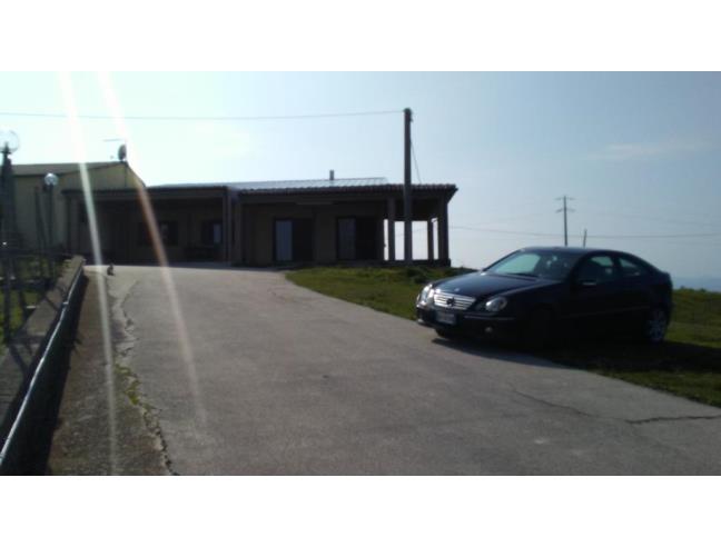 Anteprima foto 5 - Azienda Agricola in Vendita a San Martino in Pensilis (Campobasso)
