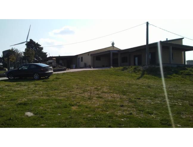 Anteprima foto 6 - Azienda Agricola in Vendita a San Martino in Pensilis (Campobasso)