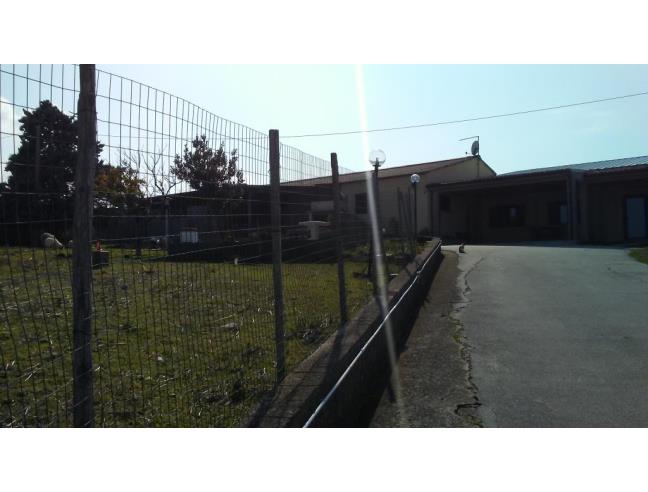 Anteprima foto 7 - Azienda Agricola in Vendita a San Martino in Pensilis (Campobasso)