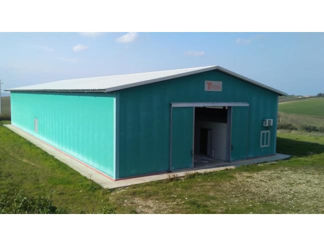 Anteprima foto 8 - Azienda Agricola in Vendita a San Martino in Pensilis (Campobasso)