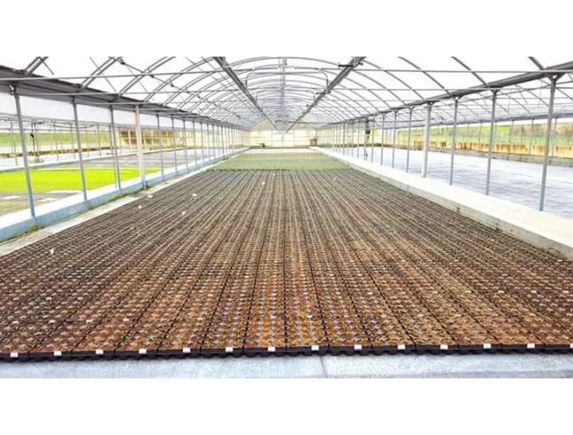 Anteprima foto 2 - Azienda Agricola in Vendita a Terni (Terni)