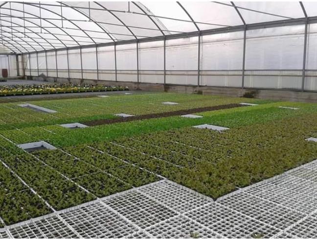 Anteprima foto 4 - Azienda Agricola in Vendita a Terni (Terni)