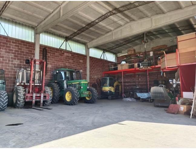 Anteprima foto 4 - Azienda Agricola in Vendita a Viguzzolo (Alessandria)