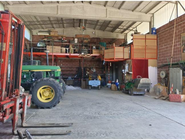 Anteprima foto 6 - Azienda Agricola in Vendita a Viguzzolo (Alessandria)