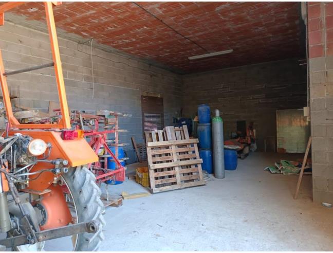 Anteprima foto 8 - Azienda Agricola in Vendita a Viguzzolo (Alessandria)