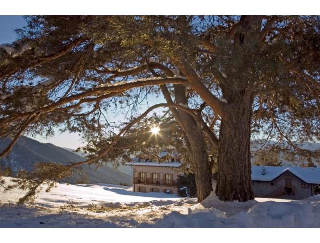 Anteprima foto 8 - Baita/Chalet/Trullo in Affitto a Predaia (Trento)
