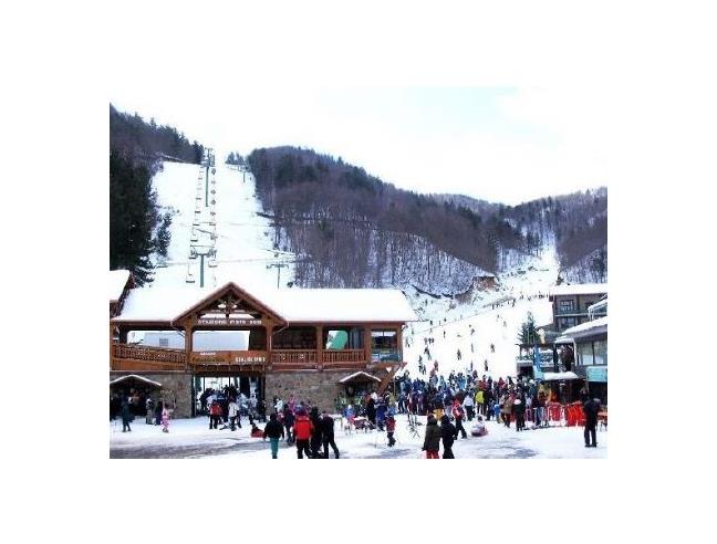 Anteprima foto 8 - Baita/Chalet/Trullo in Vendita a Cotronei (Crotone)