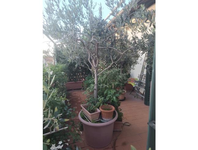 Anteprima foto 2 - Baita/Chalet/Trullo in Vendita a Firenze - Coverciano