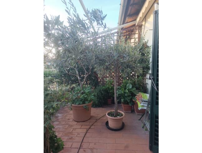 Anteprima foto 6 - Baita/Chalet/Trullo in Vendita a Firenze - Coverciano