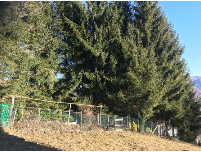 Anteprima foto 8 - Baita/Chalet/Trullo in Vendita a Germagno (Verbano-Cusio-Ossola)