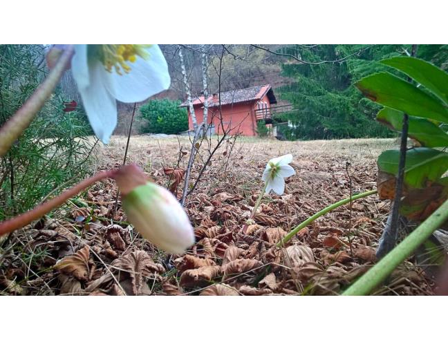Anteprima foto 4 - Baita/Chalet/Trullo in Vendita a Onore (Bergamo)