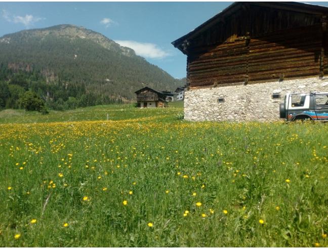 Anteprima foto 2 - Baita/Chalet/Trullo in Vendita a San Pietro di Cadore - Presenaio