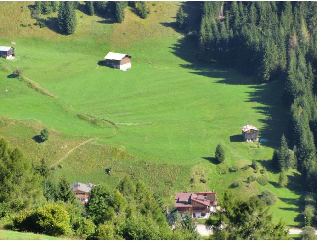 Anteprima foto 4 - Baita/Chalet/Trullo in Vendita a San Pietro di Cadore - Presenaio