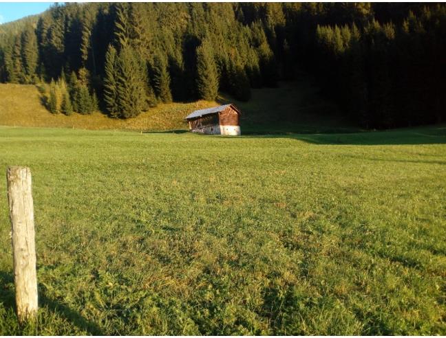 Anteprima foto 5 - Baita/Chalet/Trullo in Vendita a San Pietro di Cadore - Presenaio