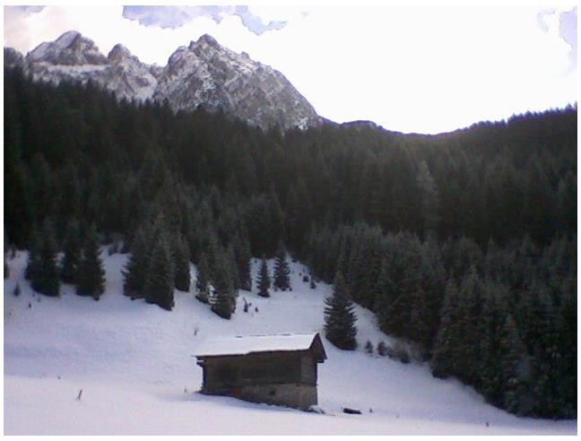 Anteprima foto 6 - Baita/Chalet/Trullo in Vendita a San Pietro di Cadore - Presenaio