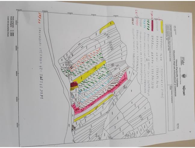 Anteprima foto 7 - Baita/Chalet/Trullo in Vendita a Sella Giudicarie (Trento)