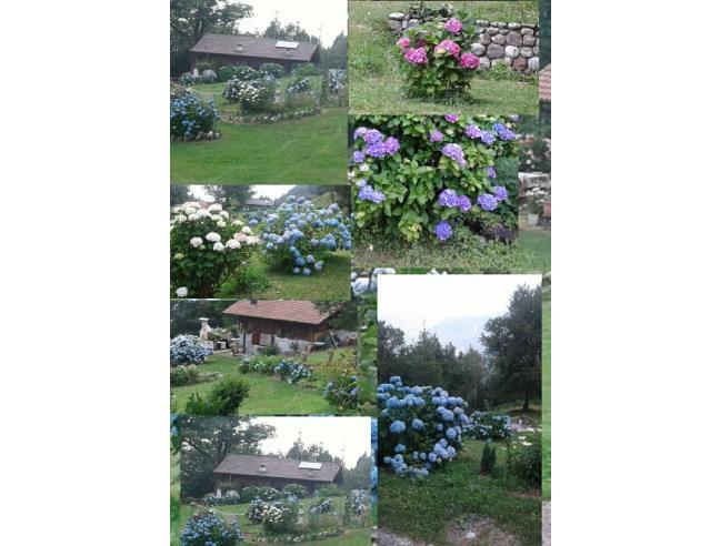 Anteprima foto 4 - Baita/Chalet/Trullo in Vendita a Storo (Trento)