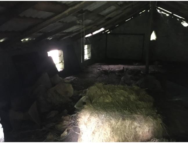 Anteprima foto 5 - Baita/Chalet/Trullo in Vendita a Villa Collemandina - Sassorosso