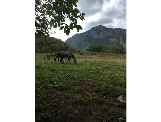 Anteprima foto 7 - Baita/Chalet/Trullo in Vendita a Villa Collemandina - Sassorosso