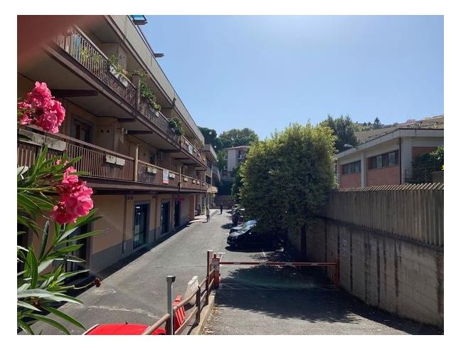 Anteprima foto 1 - Box/Garage/Posto auto in Affitto a Frascati (Roma)