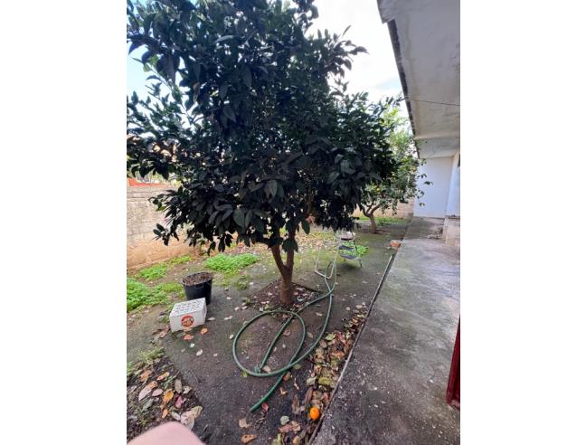 Anteprima foto 7 - Box/Garage/Posto auto in Vendita a Pulsano - Marina Di Pulsano