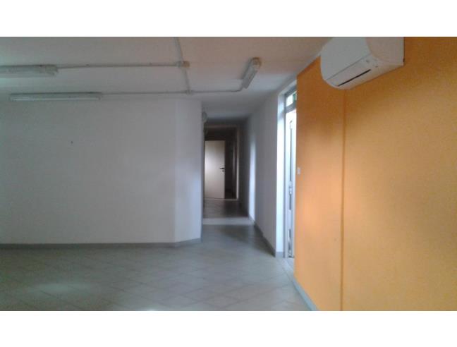 Anteprima foto 2 - Capannone in Affitto a Alfonsine (Ravenna)