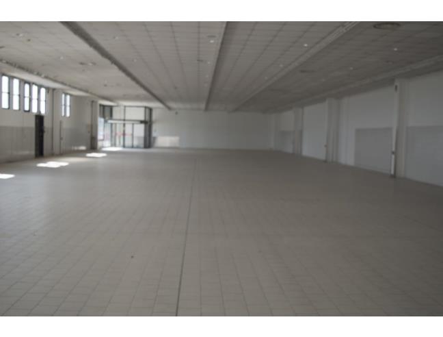 Anteprima foto 3 - Capannone in Affitto a Montagnana (Padova)