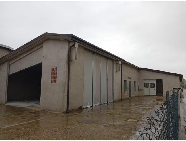 Anteprima foto 4 - Capannone in Affitto a Santa Giustina in Colle - Fratte