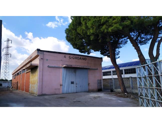 Anteprima foto 5 - Capannone in Vendita a Bari - Libertà