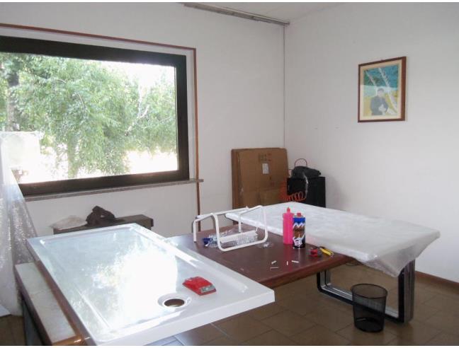 Anteprima foto 5 - Capannone in Vendita a Cressa (Novara)