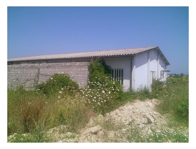 Anteprima foto 4 - Capannone in Vendita a Guardea - Cocciano