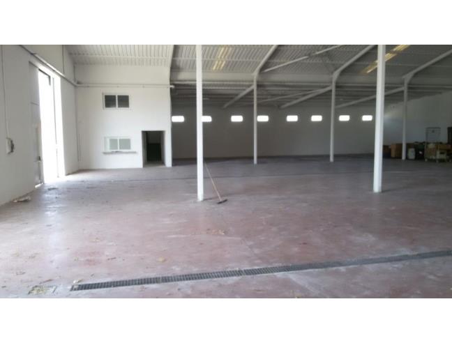 Anteprima foto 6 - Capannone in Vendita a Latina - Borgo Isonzo