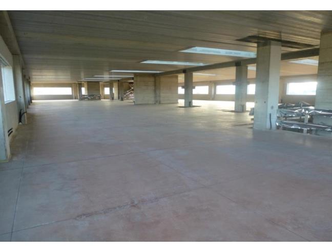 Anteprima foto 3 - Capannone in Vendita a Longiano (Forlì-Cesena)