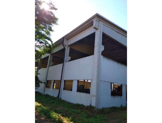 Anteprima foto 8 - Capannone in Vendita a Roletto (Torino)