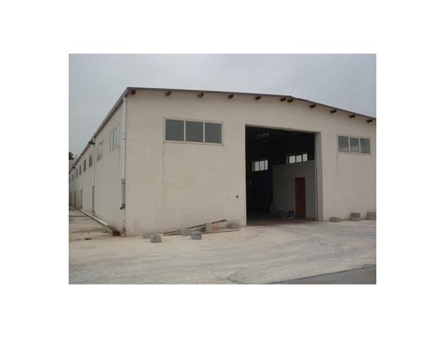 Anteprima foto 5 - Capannone in Vendita a Salemi - Salinella