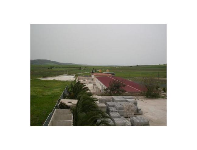 Anteprima foto 7 - Capannone in Vendita a Salemi - Salinella