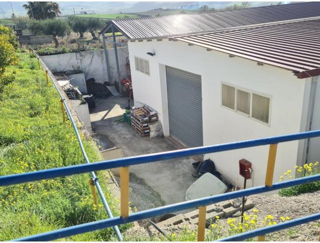 Anteprima foto 4 - Capannone in Vendita a Salemi (Trapani)