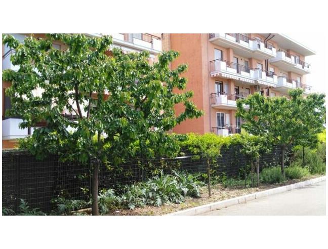 Anteprima foto 6 - Capannone in Vendita a San Severo (Foggia)