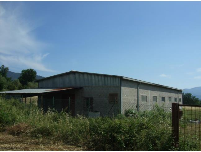 Anteprima foto 4 - Capannone in Vendita a San Vittore del Lazio (Frosinone)