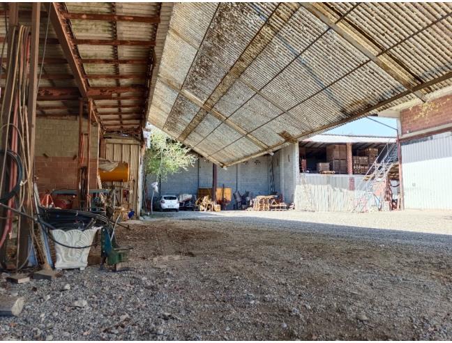 Anteprima foto 2 - Capannone in Vendita a Viguzzolo (Alessandria)