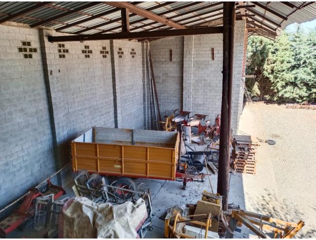 Anteprima foto 4 - Capannone in Vendita a Viguzzolo (Alessandria)