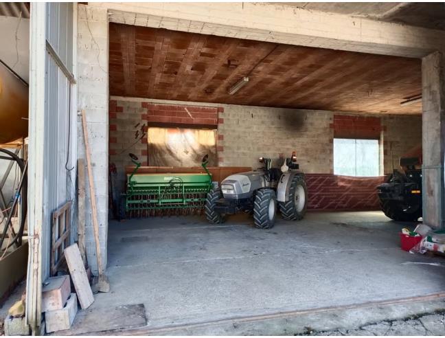 Anteprima foto 6 - Capannone in Vendita a Viguzzolo (Alessandria)